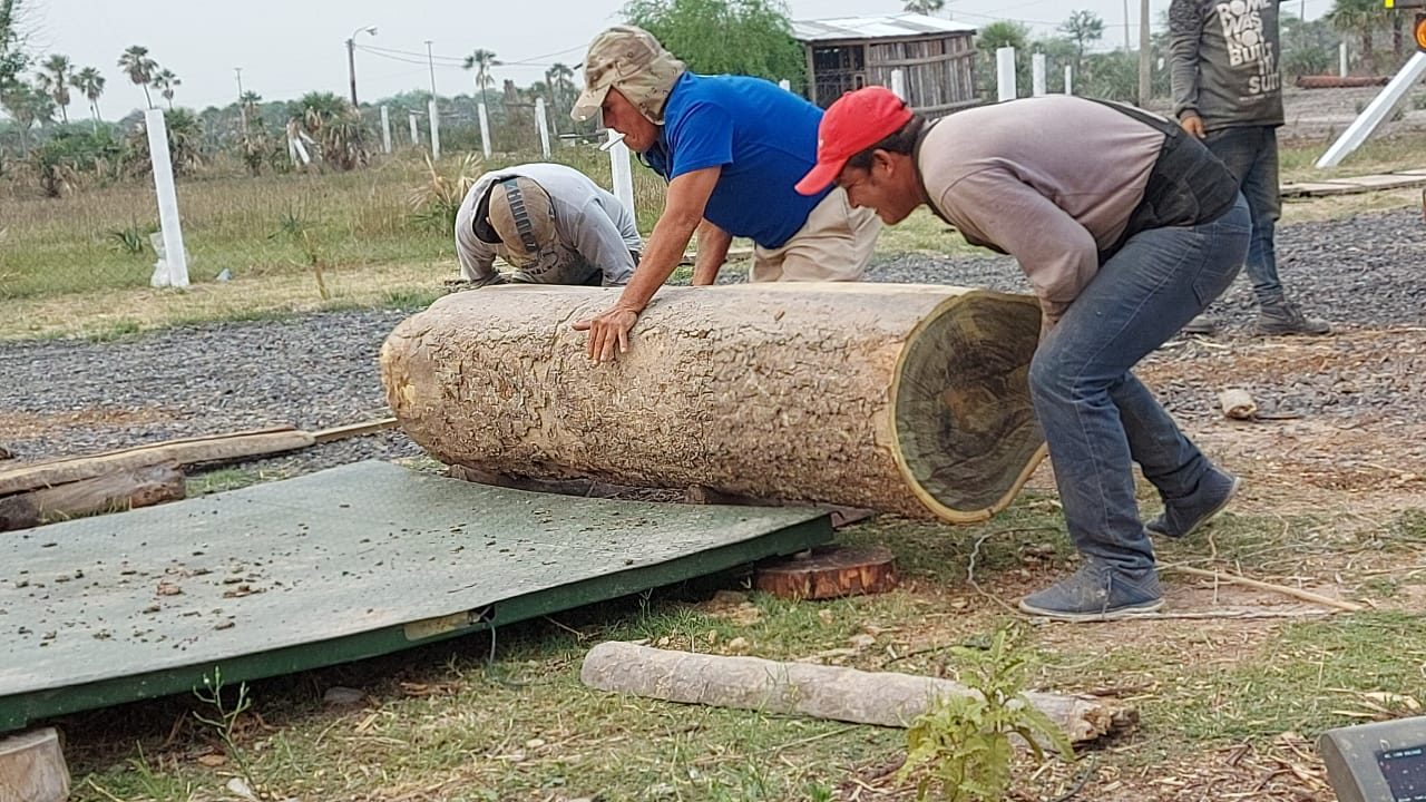 Madera exportación 1