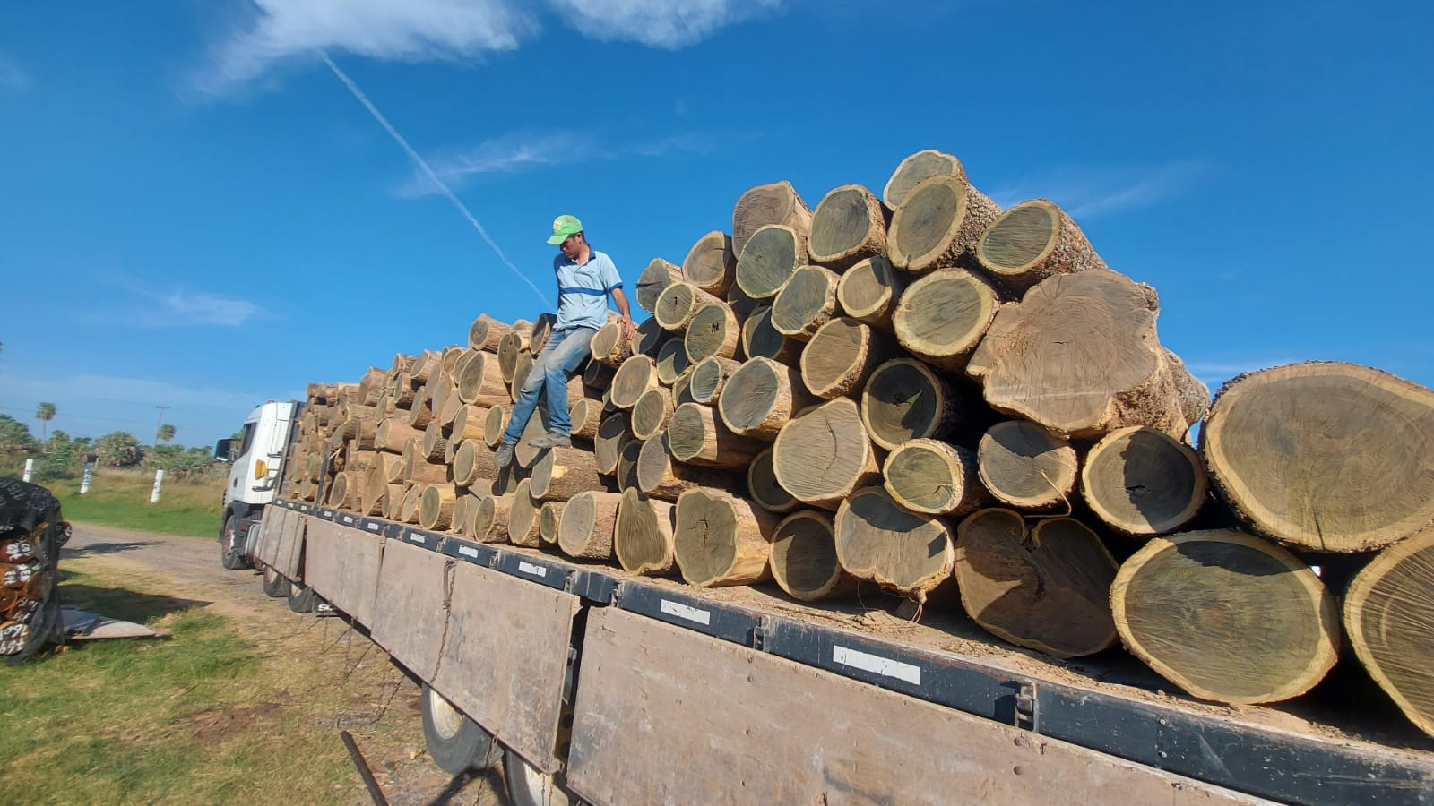 Madera exportación 2