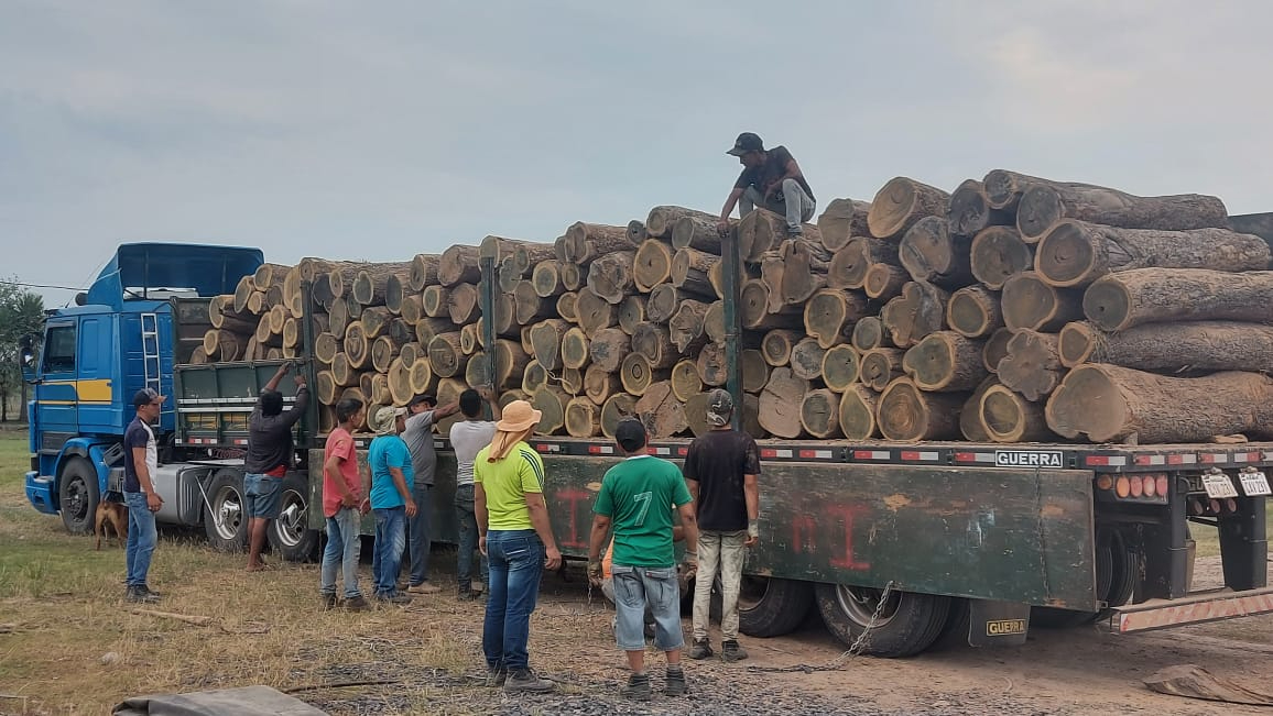 Madera exportación 3