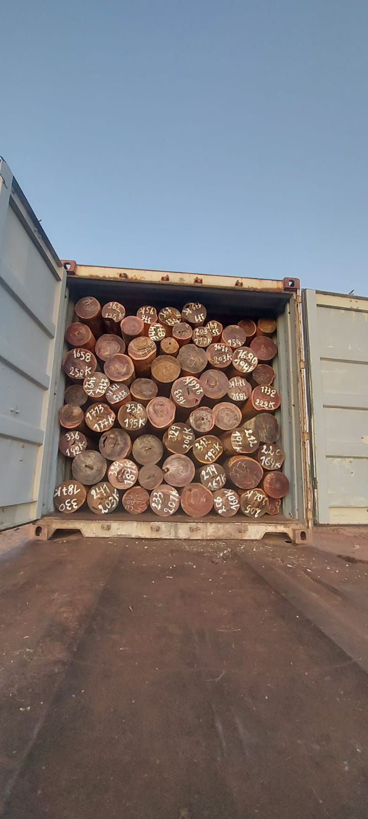 Madera exportación 6